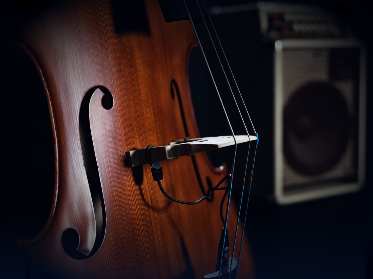 Kontrabass mit Combo-Verstärker